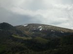 Image_008.JPG