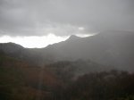Image_015.JPG