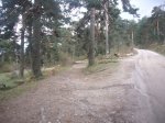 Foto4.JPG