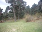 Foto6.JPG