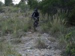DSC04256.jpg