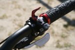 09_seaotter_manitou1.jpg