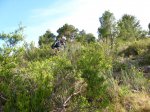 IMG_1695.JPG