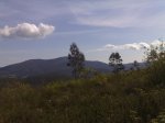 18042009294.jpg