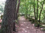 DSCN1107 (Medium).JPG