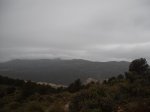DSCF2243.JPG