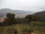 DSCF2250.JPG