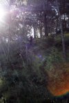 DSC00914_1024.jpg