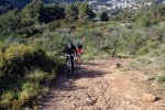 DSC00910_1024.jpg