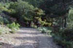 DSC00907_1024.jpg