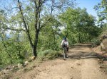 IMG_3636.jpg