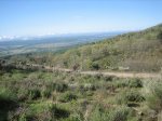 IMG_3641.jpg