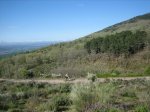 IMG_3643.jpg