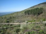 IMG_3644.jpg