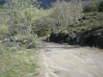 IMG_3647.jpg