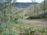 IMG_3648.jpg