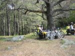 IMG_3661.jpg
