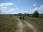 IMG_3663.jpg