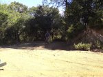 DSC00603.JPG