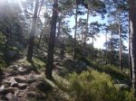 Foto15.JPG