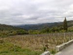 19042009277.jpg