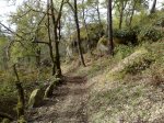 19042009289.jpg