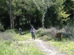 DSCF0380.jpg