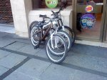 DSC00095.jpg