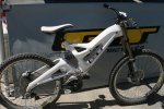 09_seaotter_day1_18.jpg