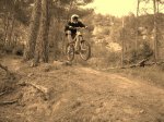 DSC07188.JPG