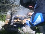 DSC00079.jpg