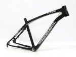 wcr-carbon.jpg