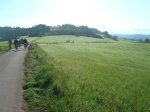 DSCN7203.jpg