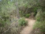 Imagen 054.jpg