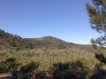 Imagen025.jpg