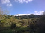 11042009_002.jpg