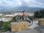 trial (10).JPG