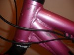 DSC02732.jpg