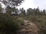 Imagen067.jpg