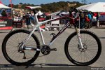 seaotter09_1_2_l.jpg