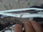 dsc01521gy6.jpg