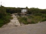 DSC03675.JPG