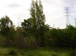 DSC03678.JPG