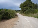 DSC03679.JPG