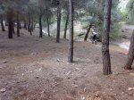 18042009945.jpg