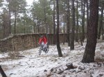jarosa13_1024x768.JPG