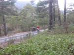 jarosa19_1024x768.JPG