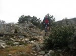 jarosa20_1024x768.jpg