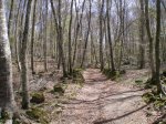 imgp0402.jpg