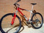 bicicleta.jpg